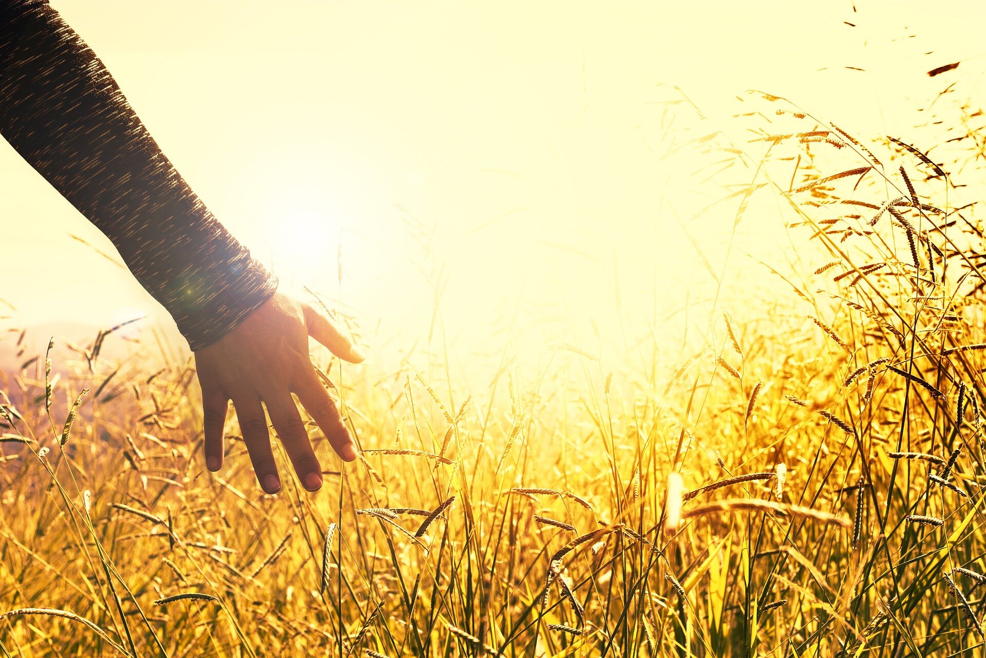 Hand grass sun.jpg