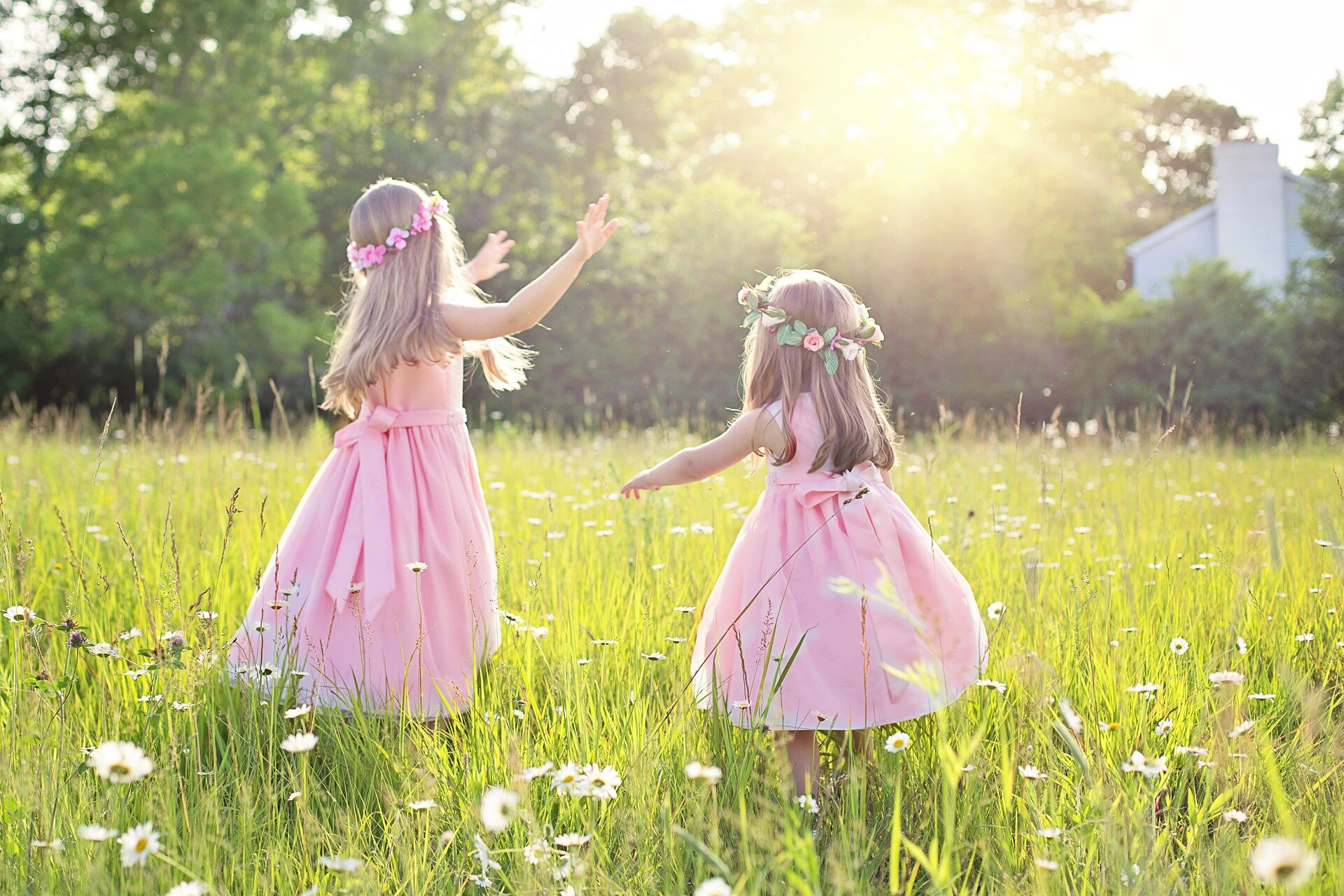 Pursue Your Joy, Spread Your Joy